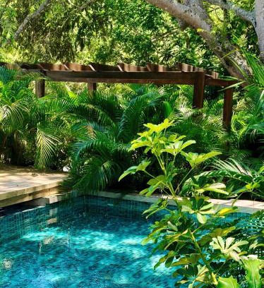 Palomino Bed & Breakfast | Villa Fátima Campestre