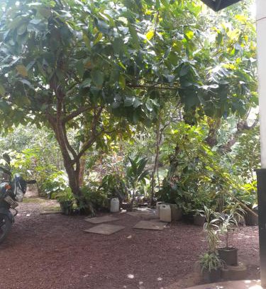 Kosgoda Apartment | Villa Kosgoda