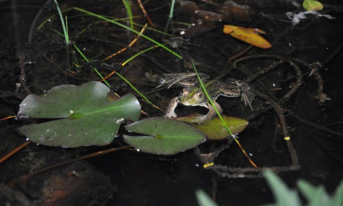 Thomery Bed & Breakfast | Villa le Cloky