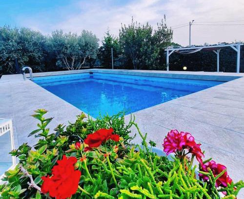 Plemmirio House | Villa Leale