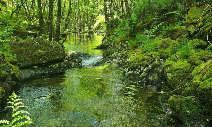 Verea House | Villa Mallorquina