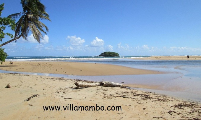Baoba del Pinar Cottage | VILLA MAMBO, House only 2500 m. from Arroyo Salado beach