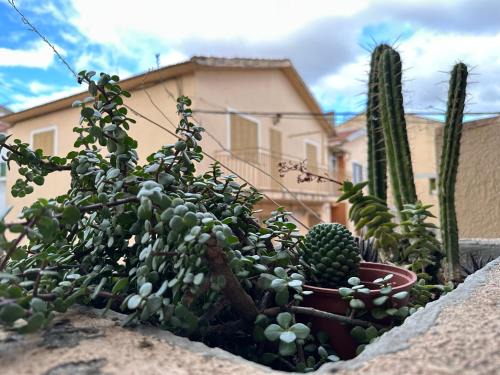 Guadarrama House | Villa Manolo s Chimenea