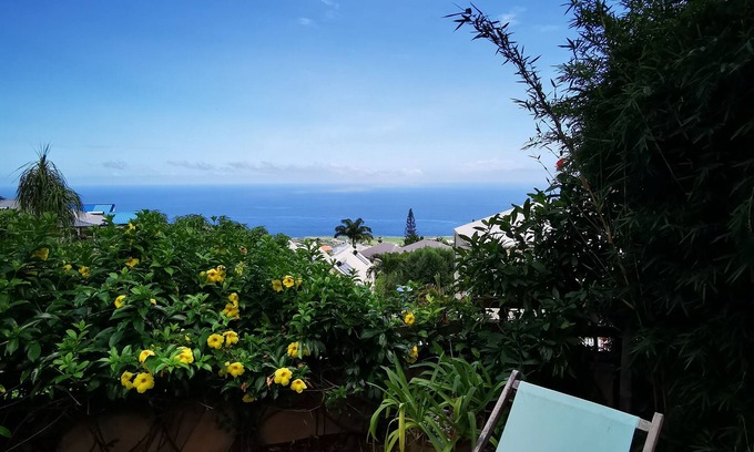 Piton Saint-Leu Villa | Villa "Moorea" an idyll of greenery 15min from the Lagoon