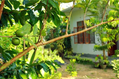 Imaduwa Apartment | Villa Nature's Bounty