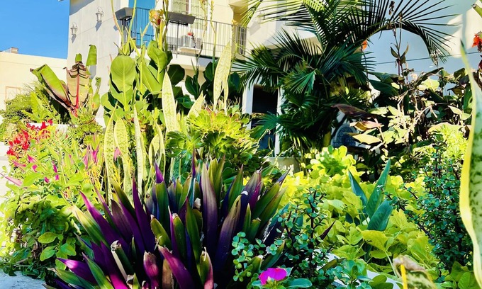 El Cajon Hotel | Villa Serena