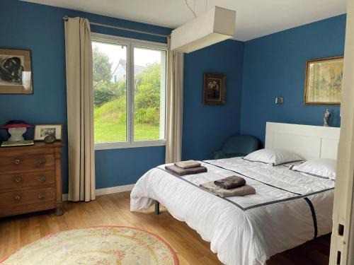 Brignogan-Plage Villa | Villa spacieuse avec piscine à Plounéour-Brignogan