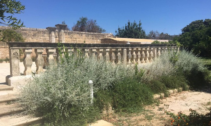 Sannicola Bed & Breakfast | Villa Starace Suites et Appartements