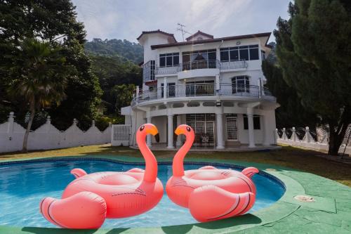 Sungai Dua Villa | Villa55 w Private swimming pool BBQ Pool table 25pax