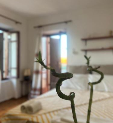 Egira House | Village House