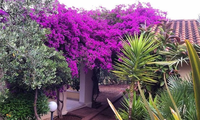 Defensola Other | Villaggio Turistico Defensola