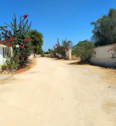 Sava Villa | Ville Scelsa