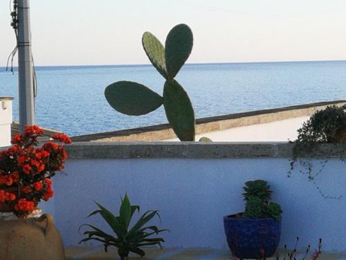 Marina San Gregorio Apartment | Villetta baiasalento