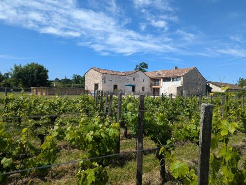 Sigoules House | Vineyard Villa with Pool and Hot Tub