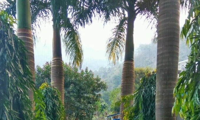 Atali Hotel | VNA Resort