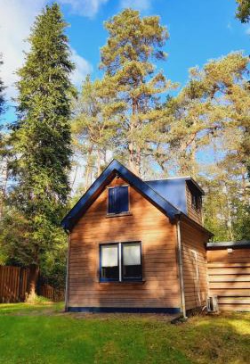 Beekbergen-Zuid House | Vrijstaand in het bos met privé sauna