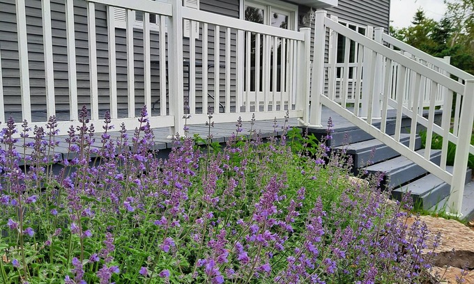 Sturgeon Bay House | Water front home on Lilly Bay!