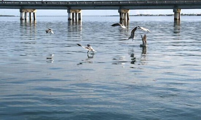 Doctor's Arm House | Waterfront Big Pine Key Paradise