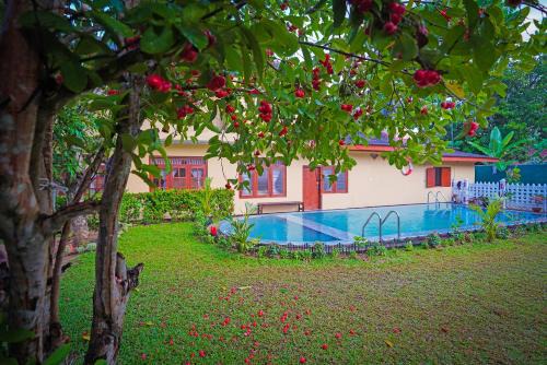 Weligama Bed & Breakfast | Weligama Bungalow