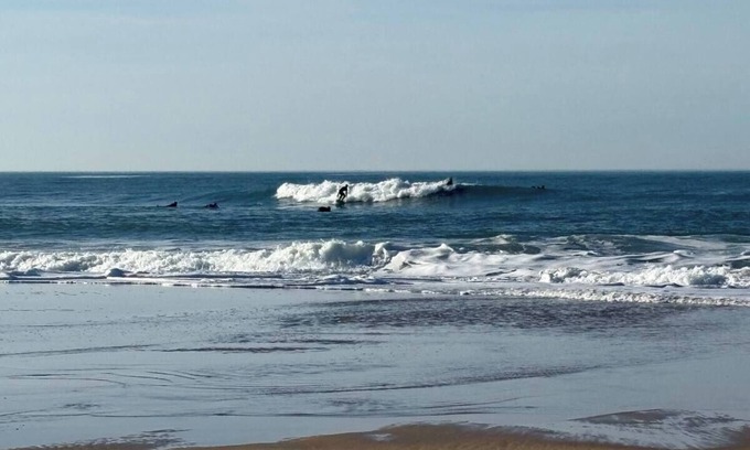 Levignacq House | Wellness cottage in the woods near the beaches of the Atlantic coast!