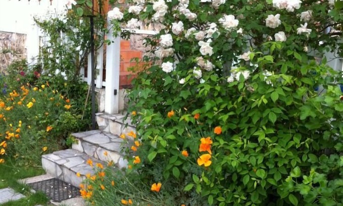 Chatou Apartment | West to charming Paris apartment