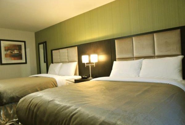 Carlyle Hotel | Western Star Inn and Suites Carlyle