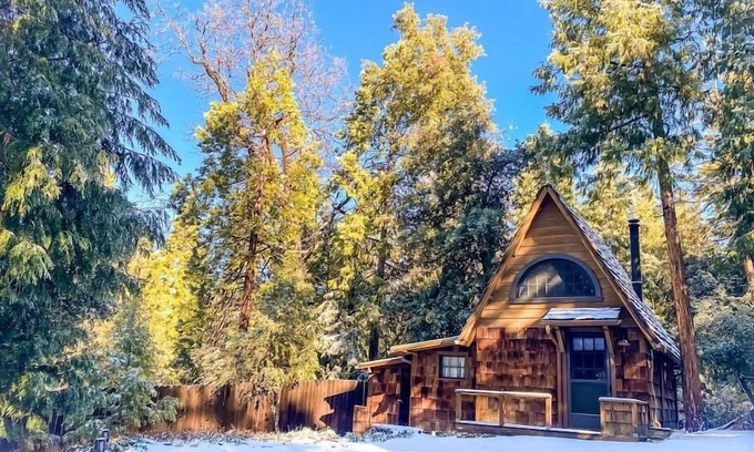 Idyllwild Apartment | Wildland Zen Den: Tiny House Retreat with Fireplace, Grill, AC, Hammock, Record