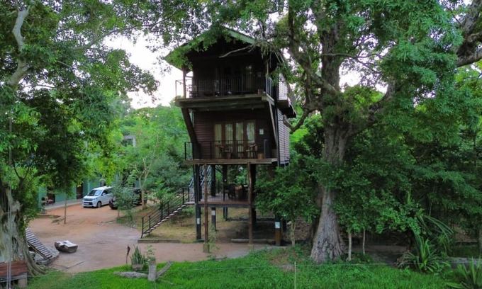 Nochchiyagama Bed & Breakfast | Wilpattu Tree House