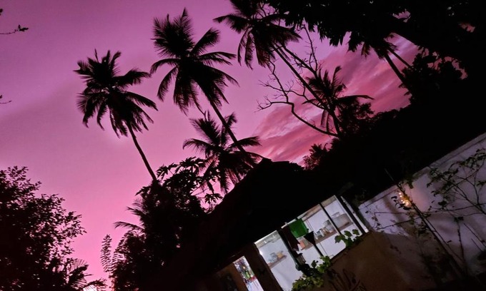 Thalaramba House | Wine Tree Garden Guesthouse