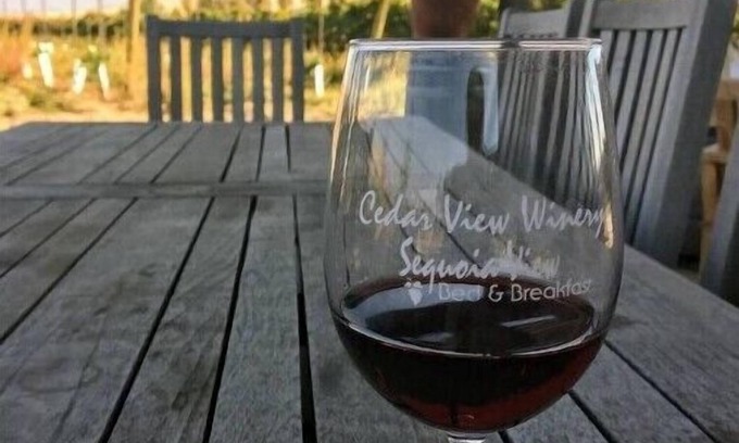 Reedley Apartment | Winemaker's Suite - Sequoia View B&B