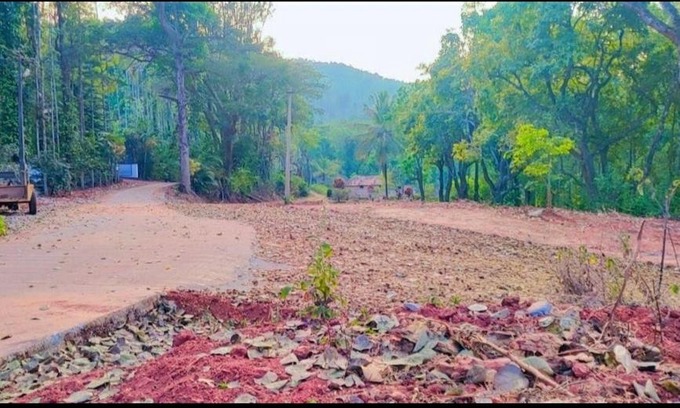 Chikkamagaluru House | Winter mist