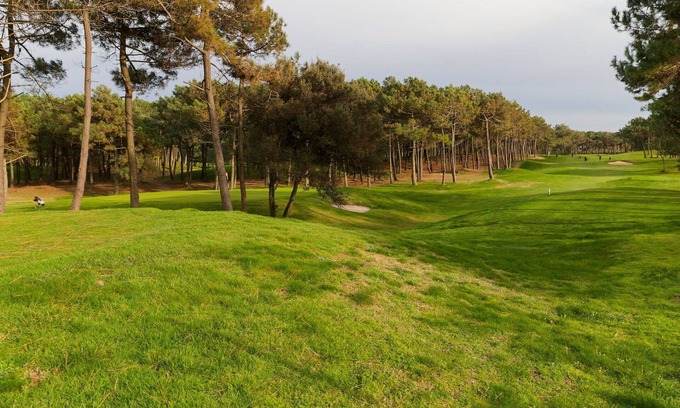 La Palmyre Bed & Breakfast | Wonderful private villa for 10 people with WIFI, TV, terrace and pets allowed