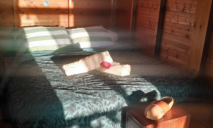 La Possession Ski Chalet | Wooden chalet in the garden with pool access