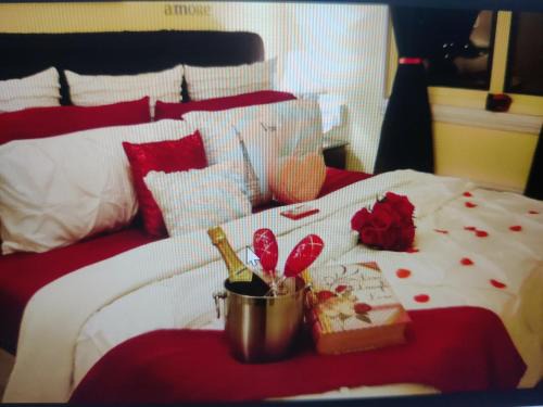 Bahadrabad Hotel | WooibHotels Conifer Haridwar