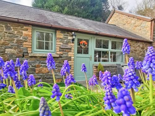 Llannon House | Y Beudy