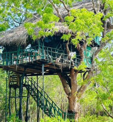 Yodakandiya Other | Yala Tree House by 47