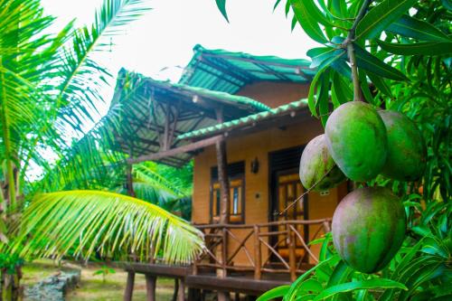 Yodakandiya Other | YalaWay Nature Villa