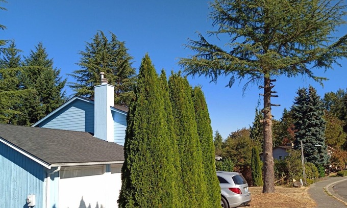 Bellevue House | Your Sweet Home @ Somerset Bellevue, a sought after place near golf club, shops!