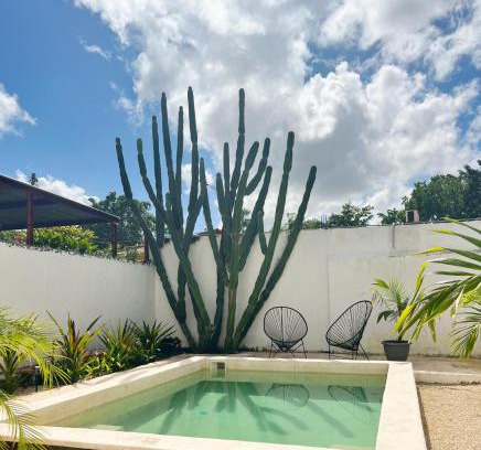 Centro House | Yuxtal