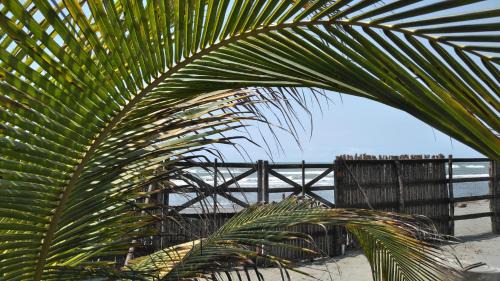 San Bernardo del Viento House | Zéfiro Hostal