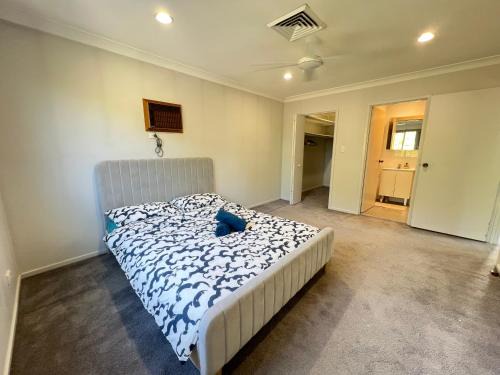 Carlingford House | Z Room