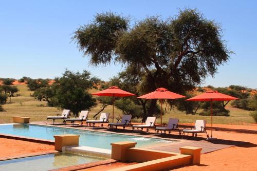 Intu Afrika Kalahari Private Reserve Cabin | Zebra Kalahari Lodge