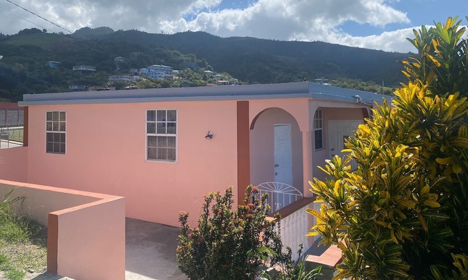 Mahaut House | Zen View House - 10 mins away from town
