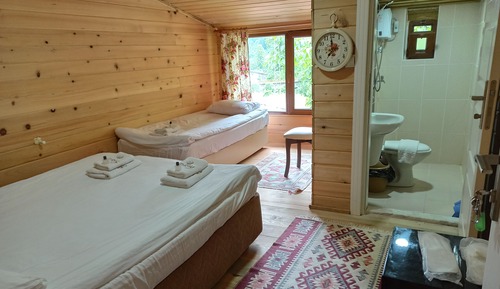Double or Twin Room