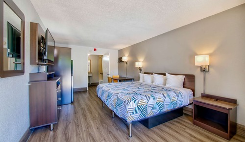 Standard Room, 1 King Bed, Non Smoking