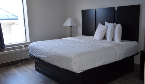 Basic Single Room