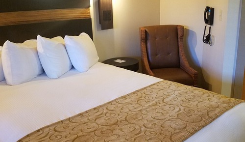 Standard Double Room, 1 Queen Bed