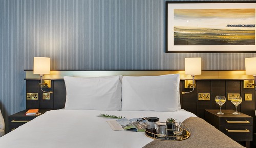 Classic Room, 1 Double Bed