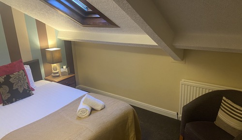 Comfort Single Room