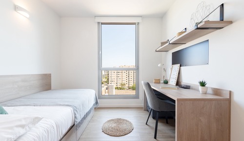 Basic Double Room